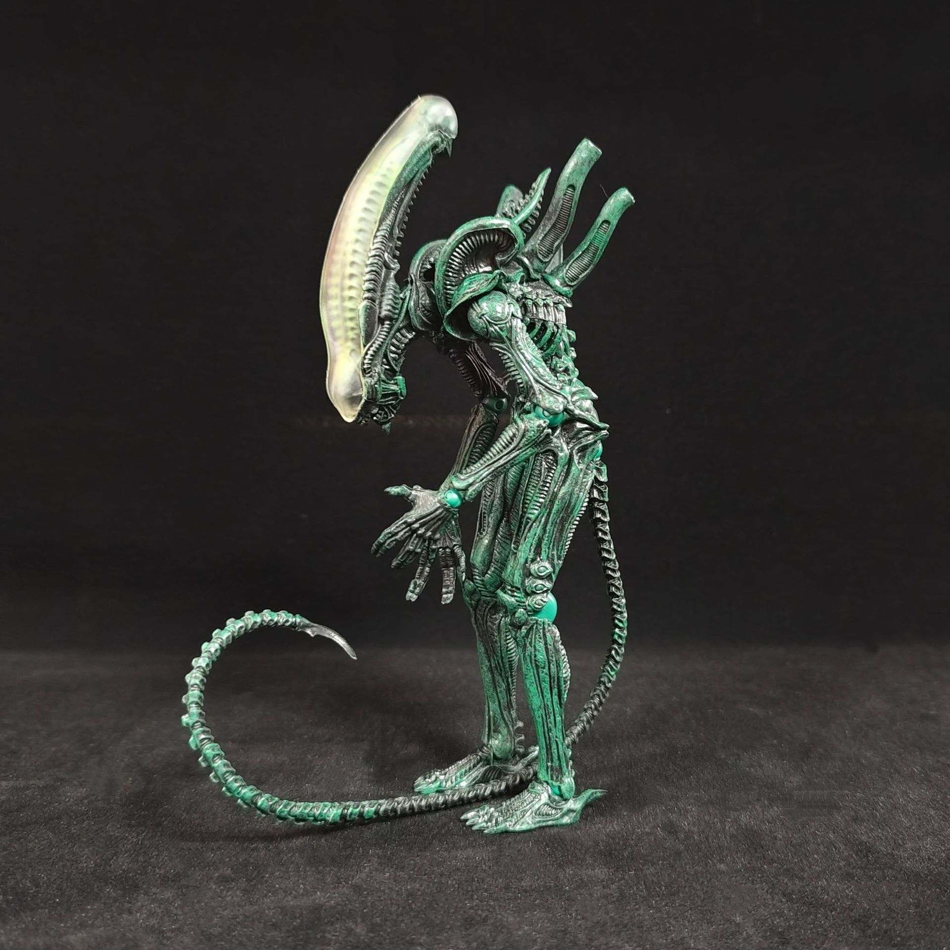 Boxed Anime Alien Action Figur - Xenomorph Kids Toys ulasan dan harga